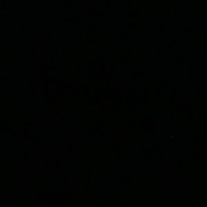 Meet your Posher, Shaylee